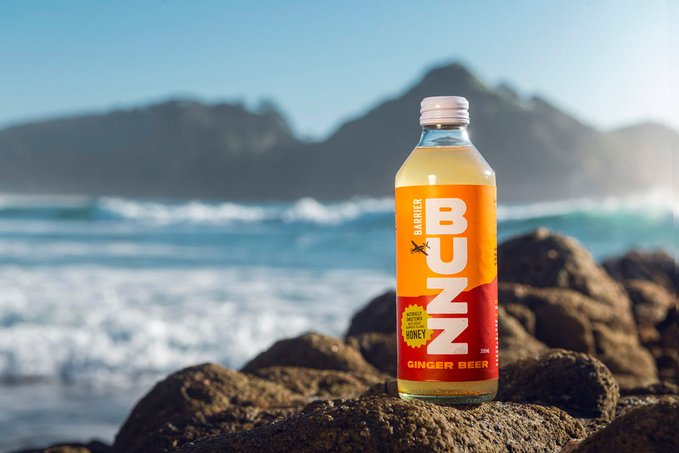 Barrier Buzz - Ginger Beer - $3.75 each - sold in Box of 12